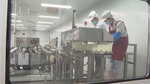 客家盐焗 休闲食品市场新赛道，如何圈粉年轻人？